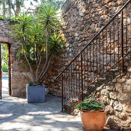 Casa9 チュイル